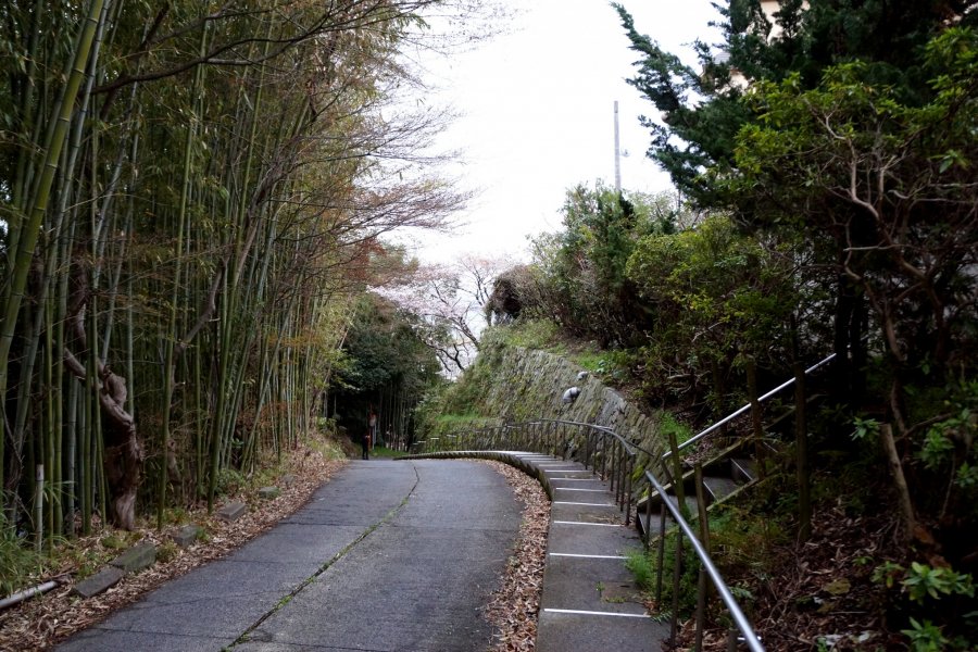 료칸 코모레비(木もれび)