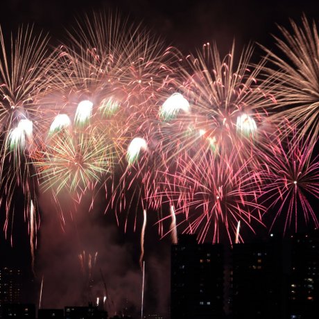 Edogawa Fireworks Festival Edogawa Fireworks Festival