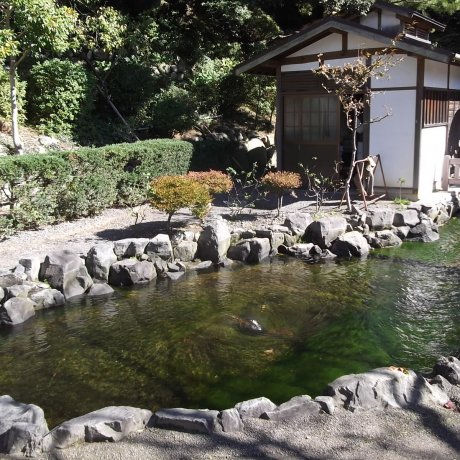 Taman Kiyomizuyama di Shizuoka Taman Kiyomizuyama di Shizuoka