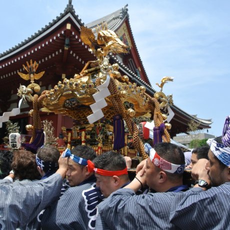 Sanja Matsuri Sanja Matsuri