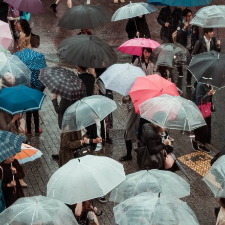 Guide to Typhoons in Japan Guide to Typhoons in Japan