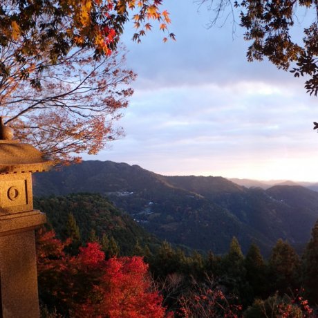 쇼산지 쇼산지