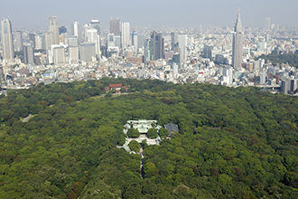 Meiji Jingu Naien (Inner Precinct)