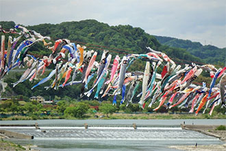 Sagamihara Carp Streamer Festival